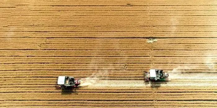 日韩欧美群交P片內射中文