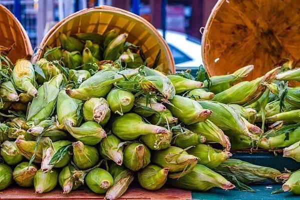 日韩欧美群交P片內射中文