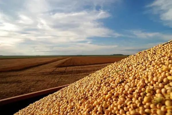 日韩欧美群交P片內射中文