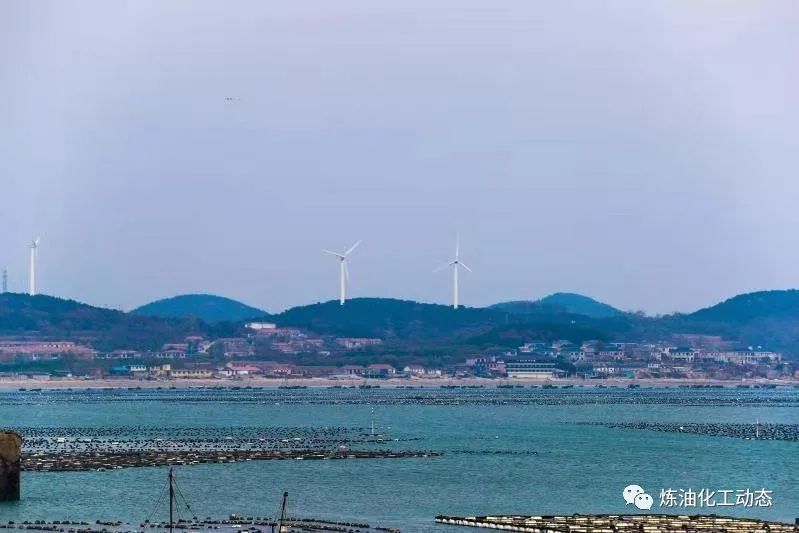 日韩欧美群交P片內射中文